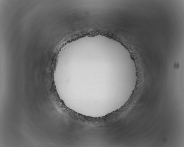 X0000116150144200912141207