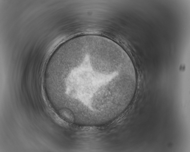 X0000116150145200912141206