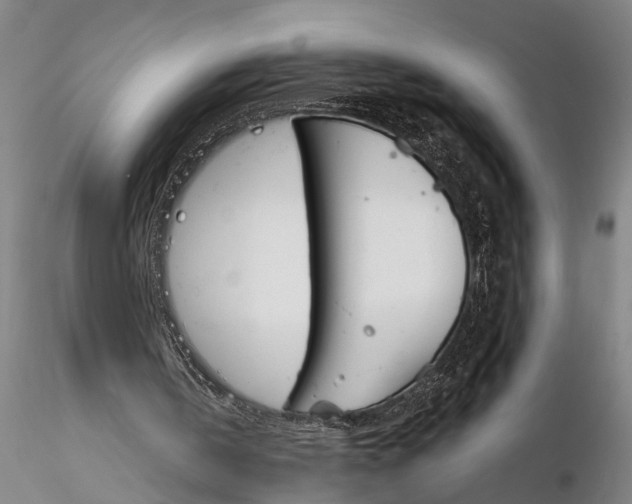 X0000116150146200912141206