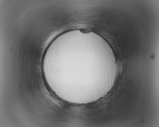 X0000116150147200912141206