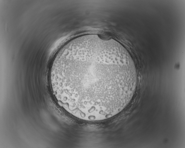 X0000116150149200912141206