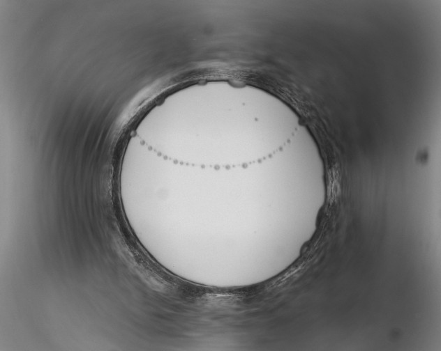 X0000116150150200912141206