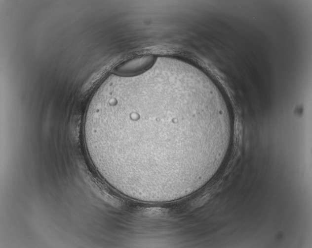 X0000116150153200912141206