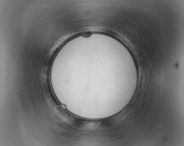 X0000116150155200912141206