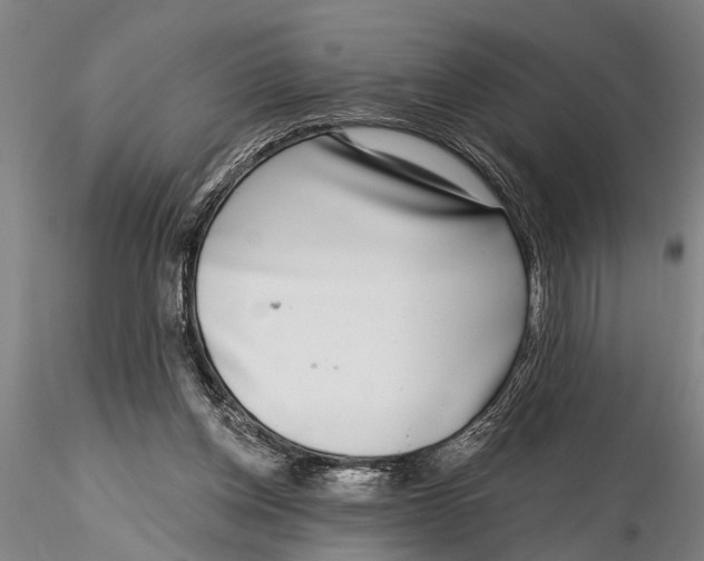 X0000116150158200912141206