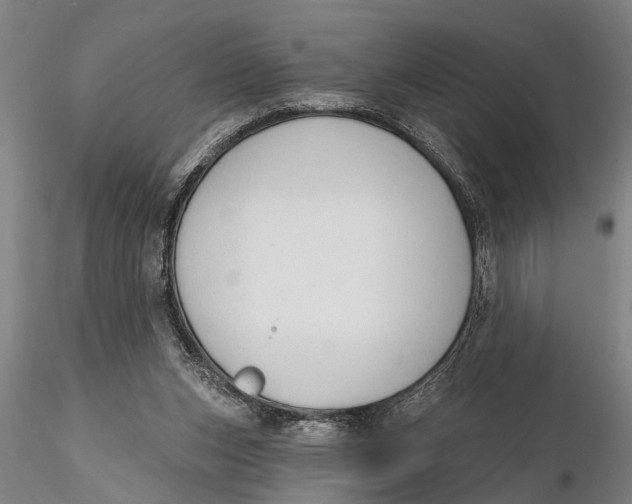 X0000116150159200912141206