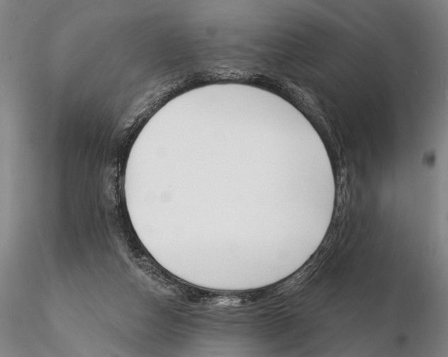 X0000116150162200912141206