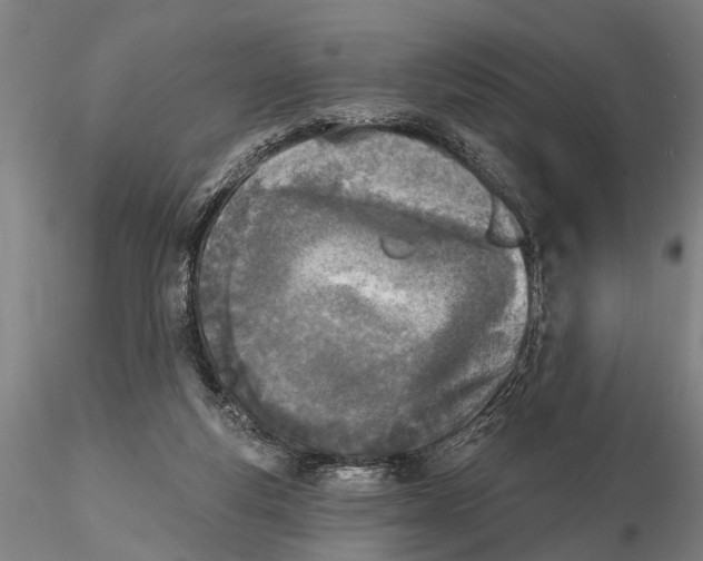 X0000116150163200912141206