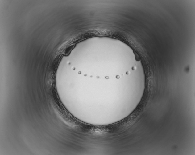 X0000116150165200912141206