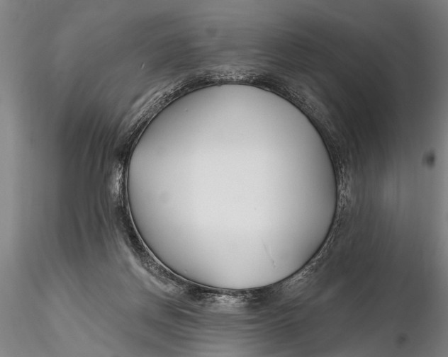 X0000116150166200912141206