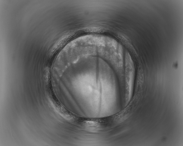 X0000116150167200912141206