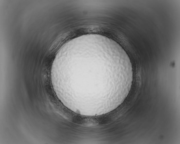 X0000116150169200912141206