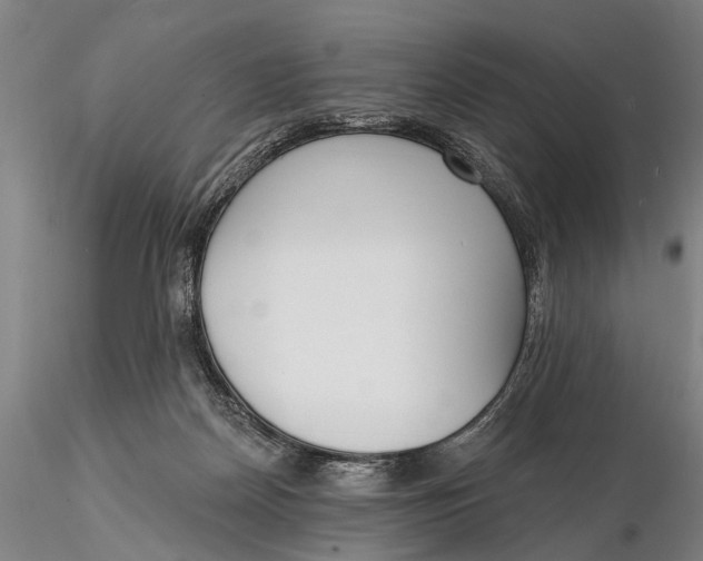 X0000116150170200912141206