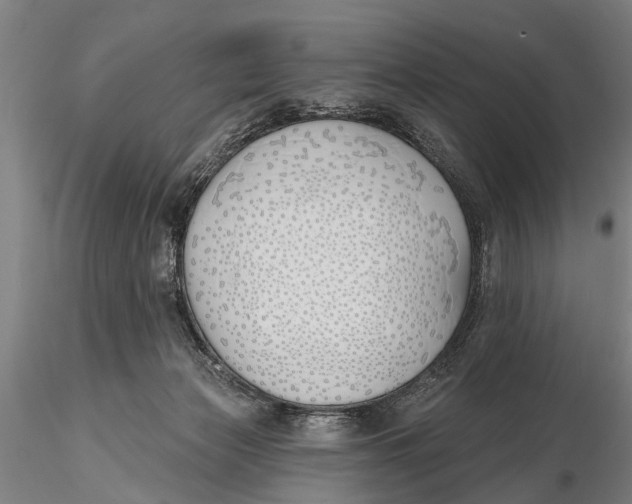 X0000116150173200912141206