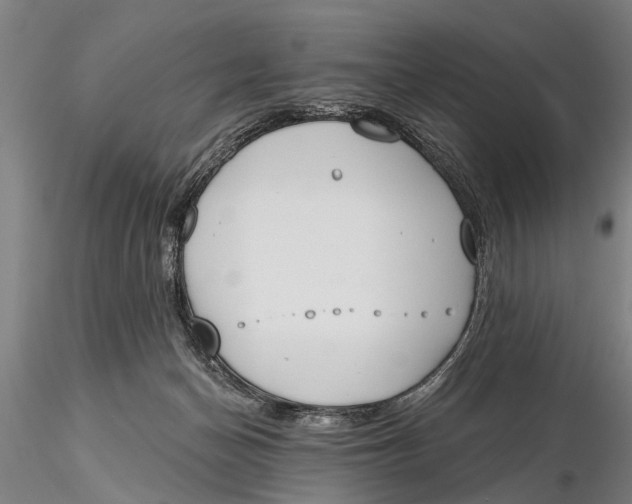 X0000116150174200912141206