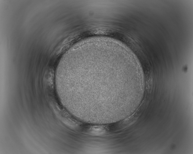 X0000116150175200912141206