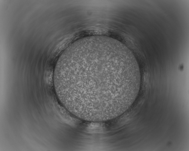 X0000116150177200912141206