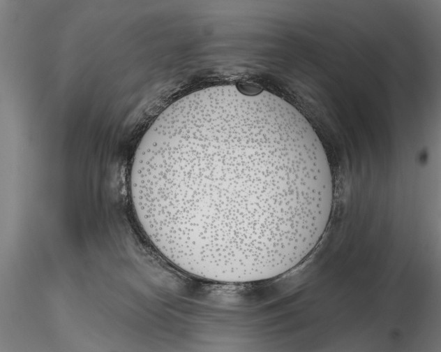 X0000116150182200912141206