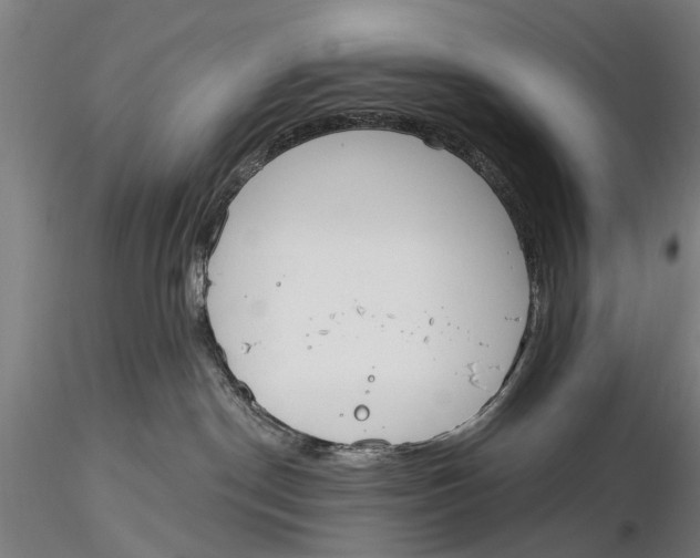 X0000116150190200912141206