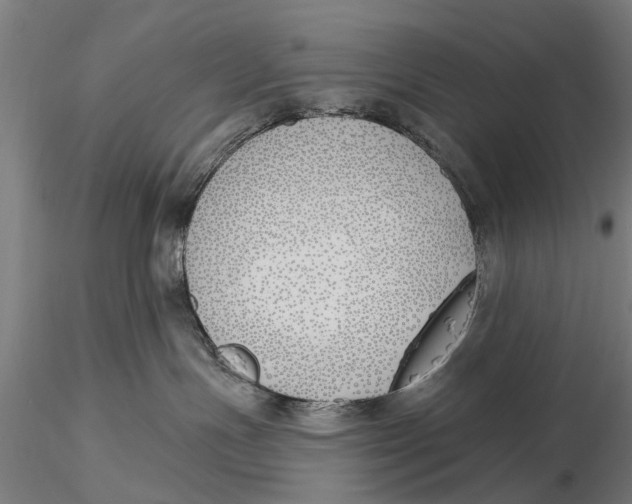 X0000116150191200912141206