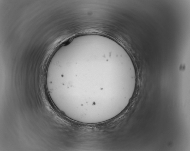 X0000116150193200912141205