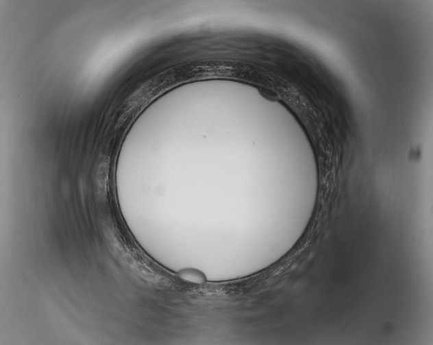 X0000116150194200912141205