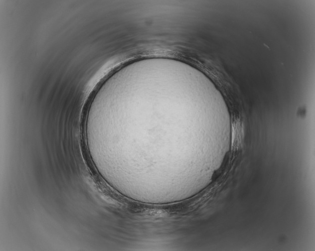 X0000116150195200912141205