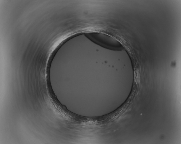 X0000116150196200912141205