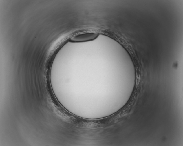 X0000116150197200912141205