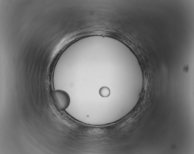 X0000116150198200912141205