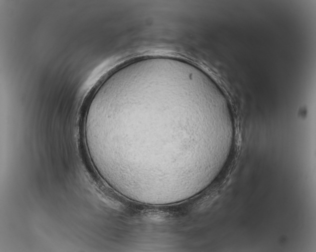 X0000116150199200912141205