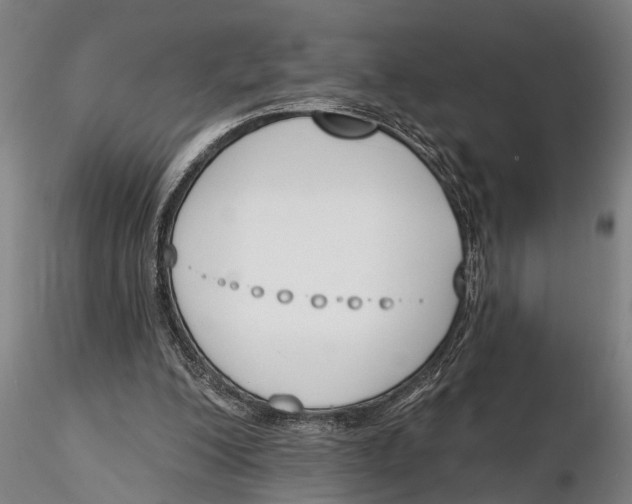 X0000116150200200912141205