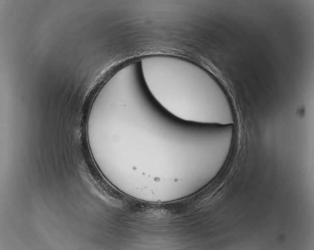 X0000116150203200912141205