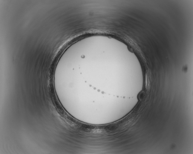 X0000116150204200912141205