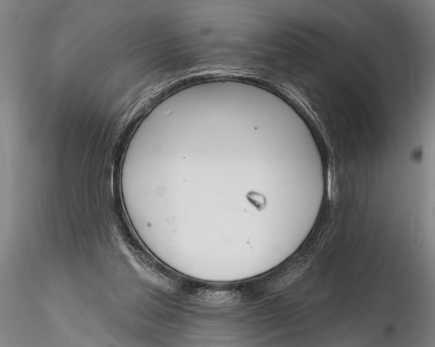 X0000116150205200912141205