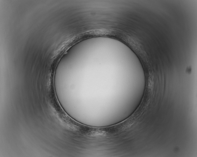 X0000116150206200912141205