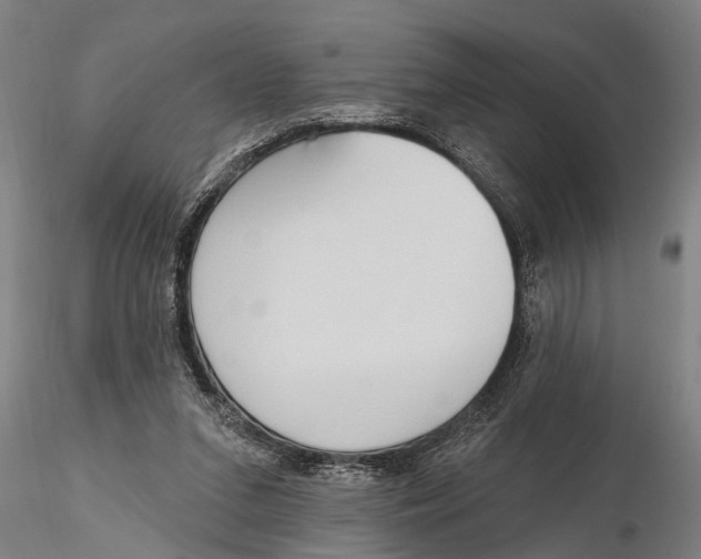 X0000116150207200912141205