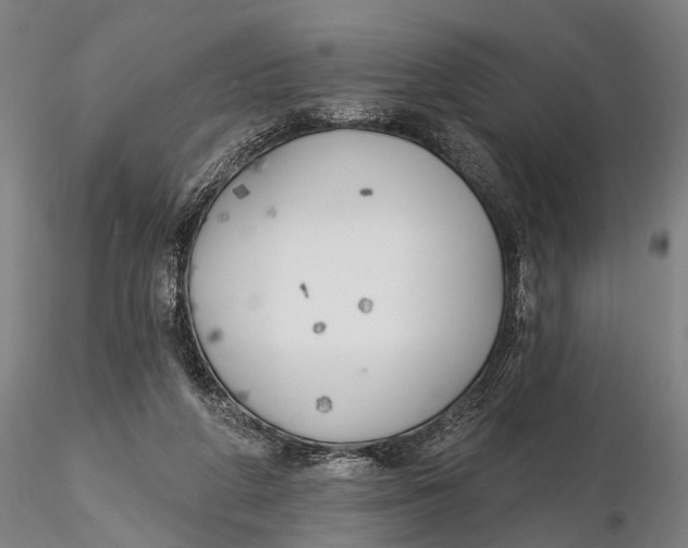 X0000116150210200912141205