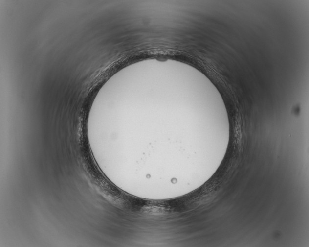 X0000116150211200912141205