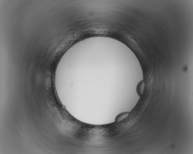 X0000116150213200912141205