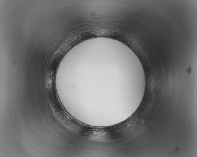 X0000116150214200912141205