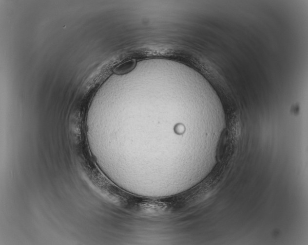 X0000116150215200912141205