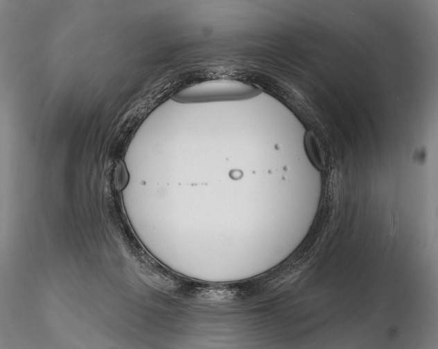 X0000116150217200912141205