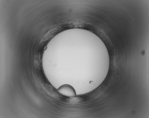 X0000116150218200912141205