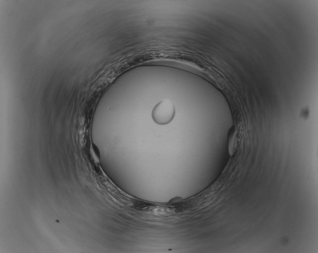 X0000116150223200912141205