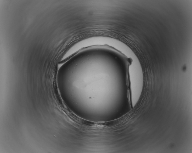 X0000116150227200912141205