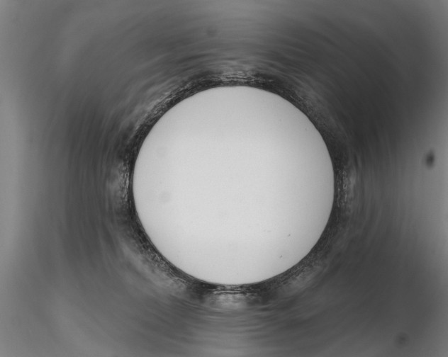 X0000116150228200912141205