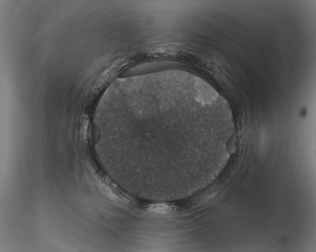 X0000116150231200912141205