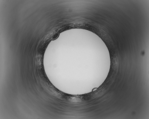 X0000116150232200912141205