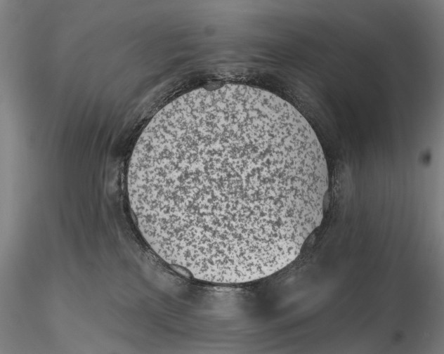 X0000116150233200912141205